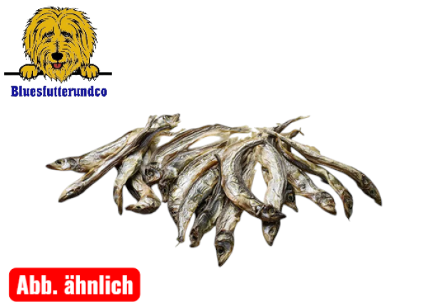 Hering(100g eine Packung) 2 Stück erhalten - nur 1 bezahlen